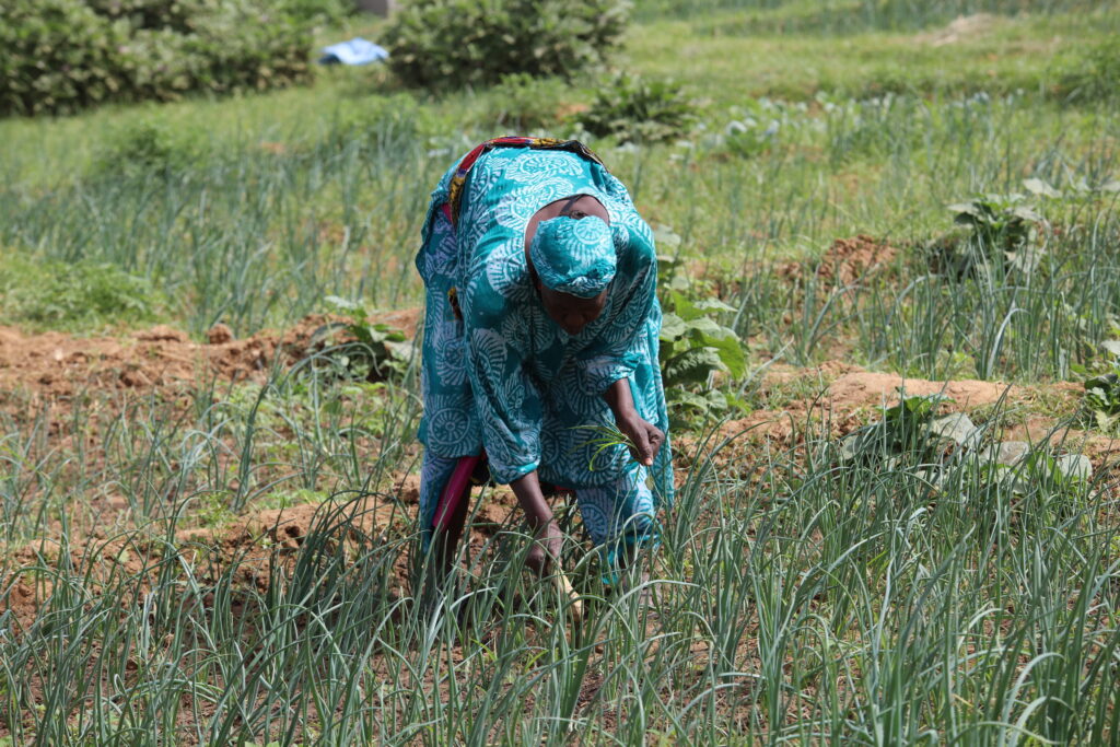 Image représentant une femme qui cultive ses terres.