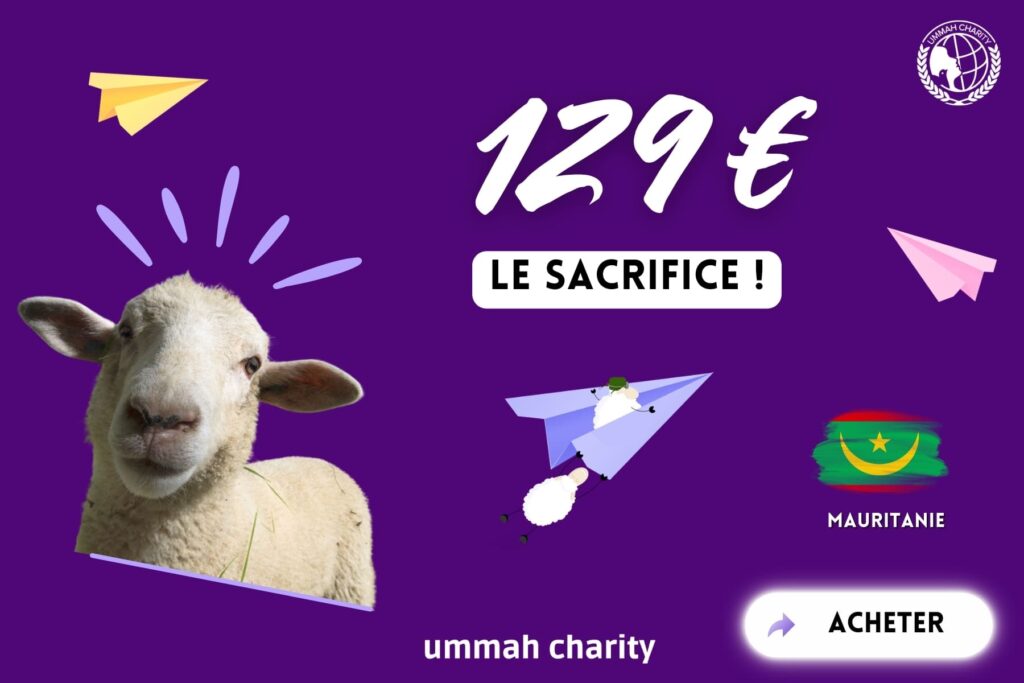 Acheter un mouton au prix de 129€ avec Ummah Charity pour l'Aid al Adha