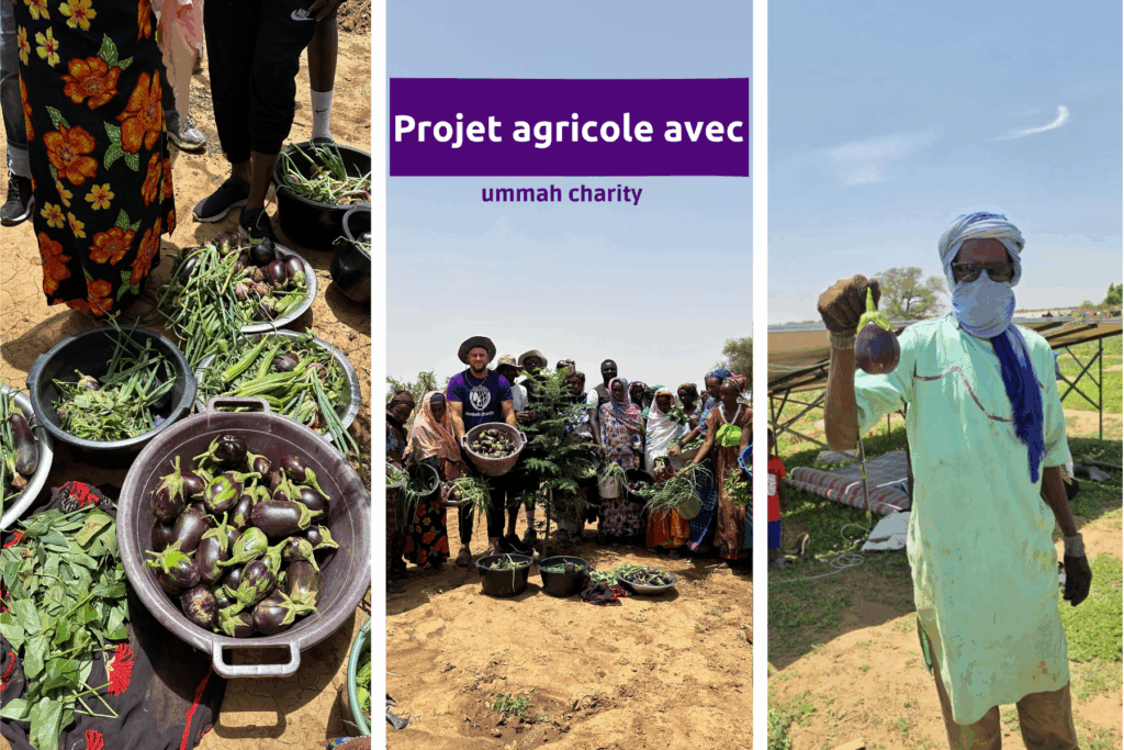 projet agricole